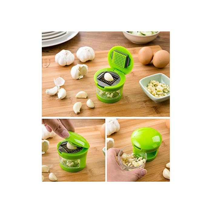 Mini Garlic Press Chopper