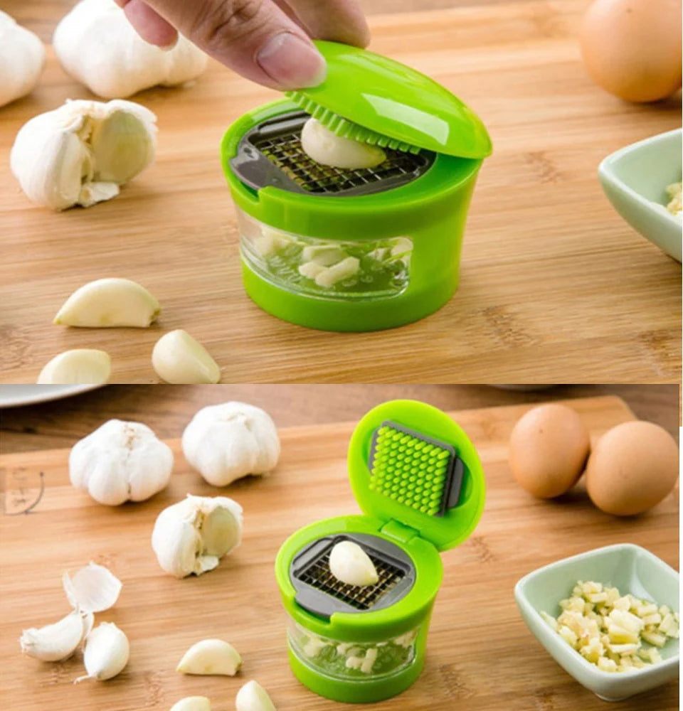 Mini Garlic Press Chopper